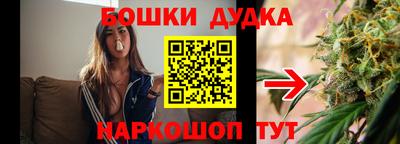 PSILOCYBIN Северобайкальск