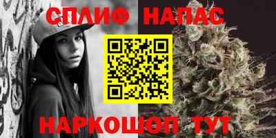 PSILOCYBIN Северобайкальск