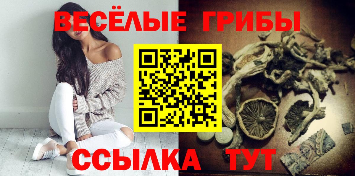 Псилоцибиновые грибы MAGIC MUSHROOMS  Галлюциногенные грибы прущие грибы  Вход с VPN  Советский 