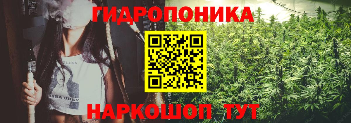 Шишки марихуана индика Советский